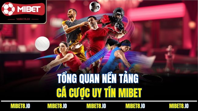 Tổng quan nền tảng cá cược uy tín Mibet
